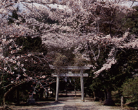 木戸神社